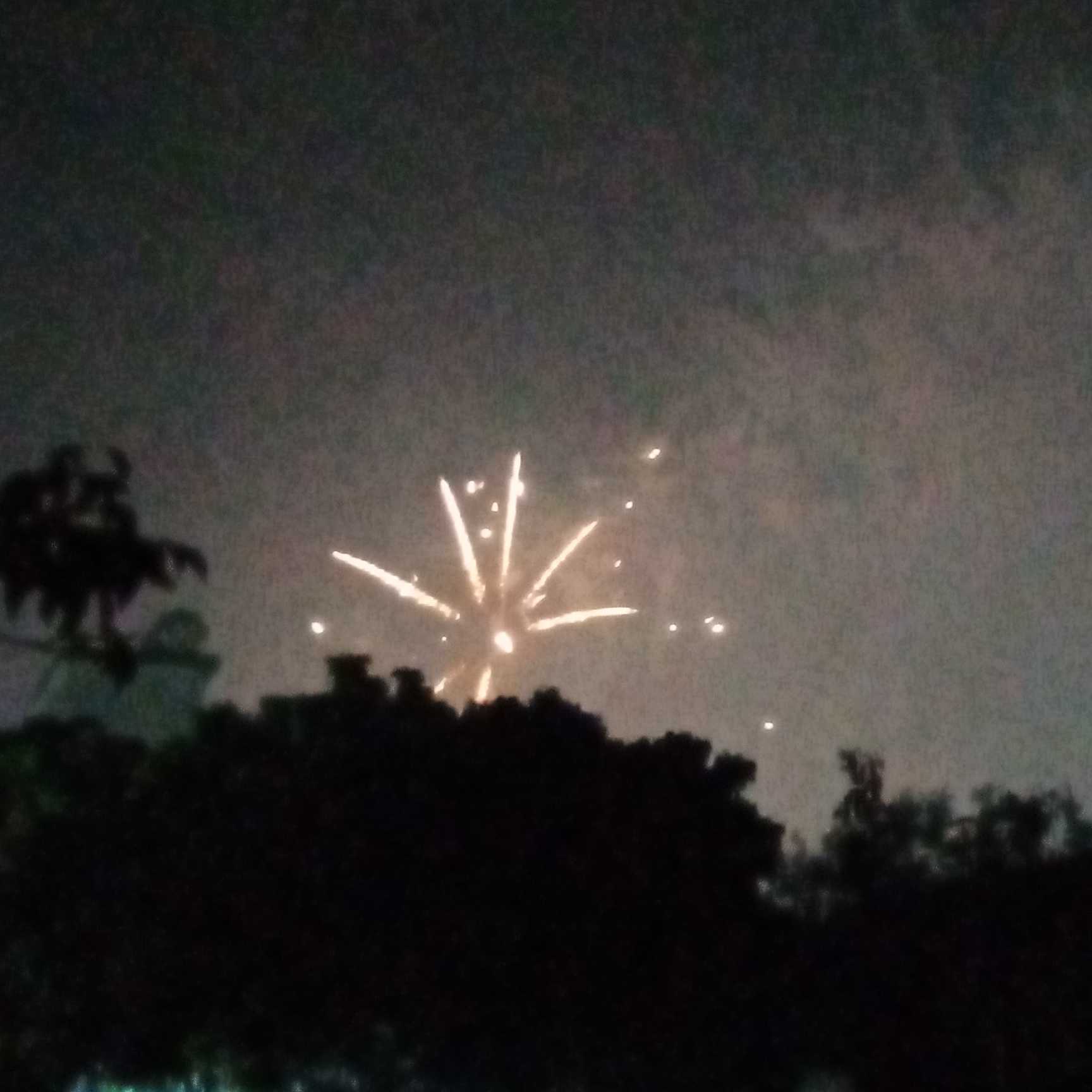 黃流鎮(zhèn)聰明樹幼兒園