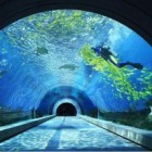 三亞海棠彩魚坊水族貿(mào)易商行